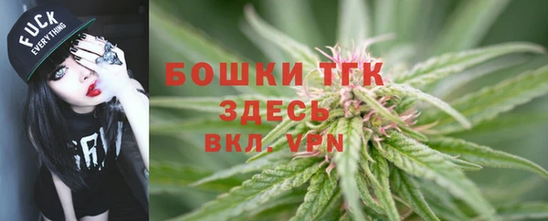молекула духа Бугульма