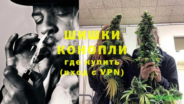 молекула духа Бугульма