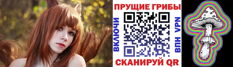 Купить где  Буинск  Псилоцибиновые грибы ЛСД 